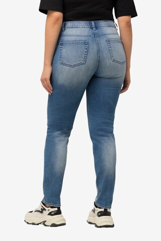 Ulla Popken Regular Jeans in Blue