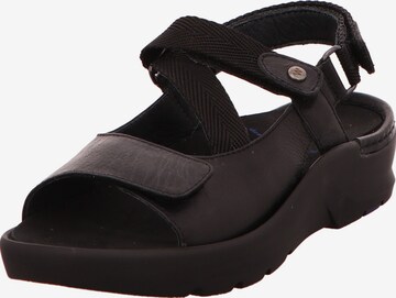 Wolky Sandals in Black: front