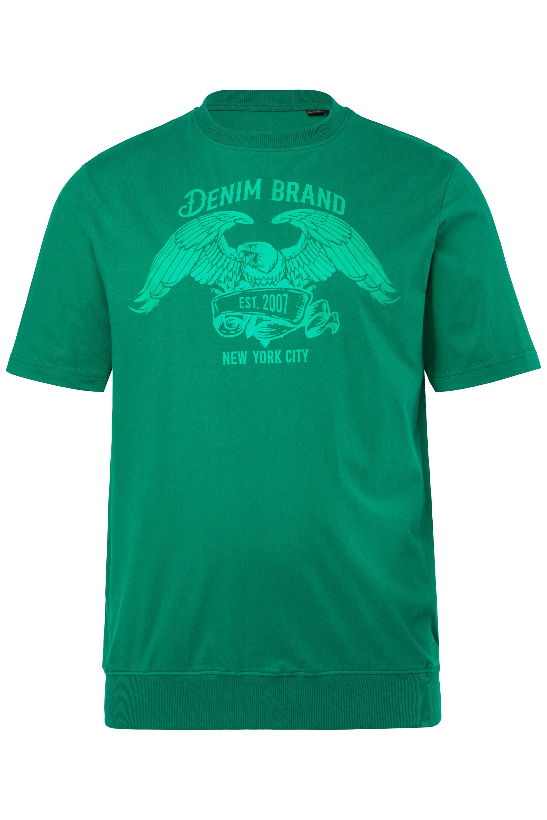 Men Plus Shirt in Green: front