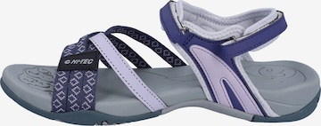 HI-TEC Sandals in Purple: front