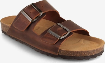 Tuffeln Sandal in Brown: front
