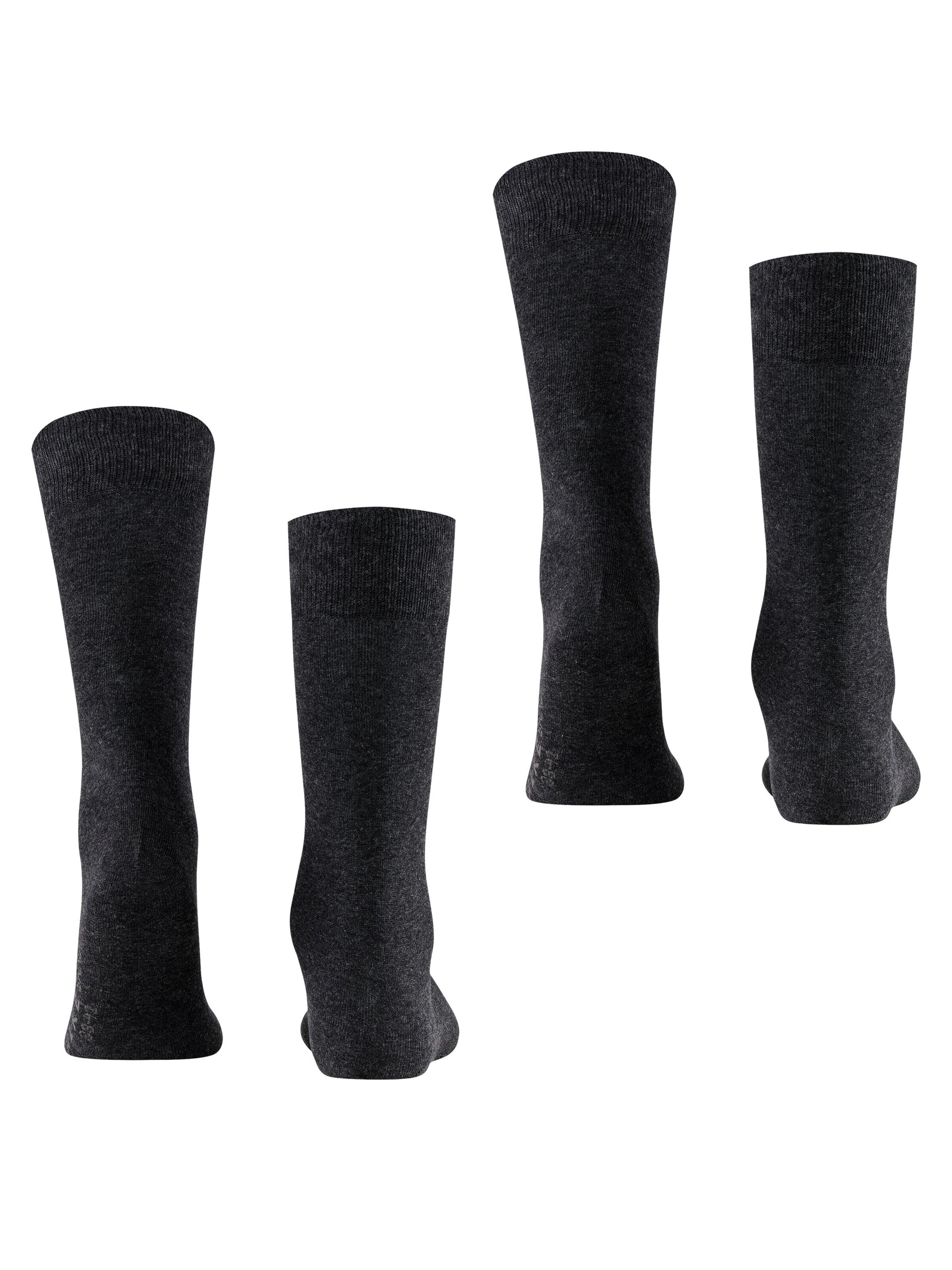 FALKE Socks 'Swing 2-Pack' in Grey