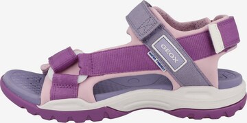 GEOX Sandals ' J Borealis G. A ' in Purple
