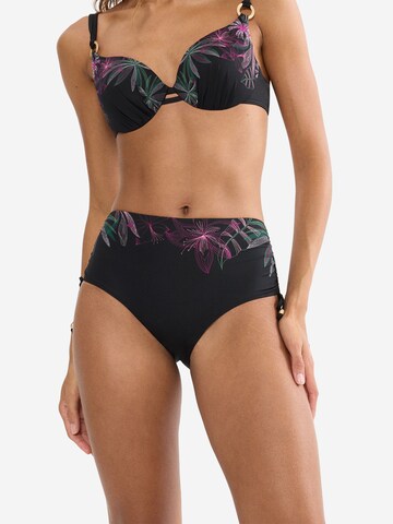 TRIUMPH Bikini Bottoms ' Red Label Summer Tropics ' in Black: front