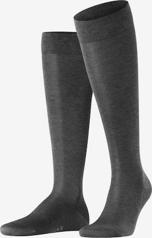 Chaussettes montantes FALKE en gris : devant