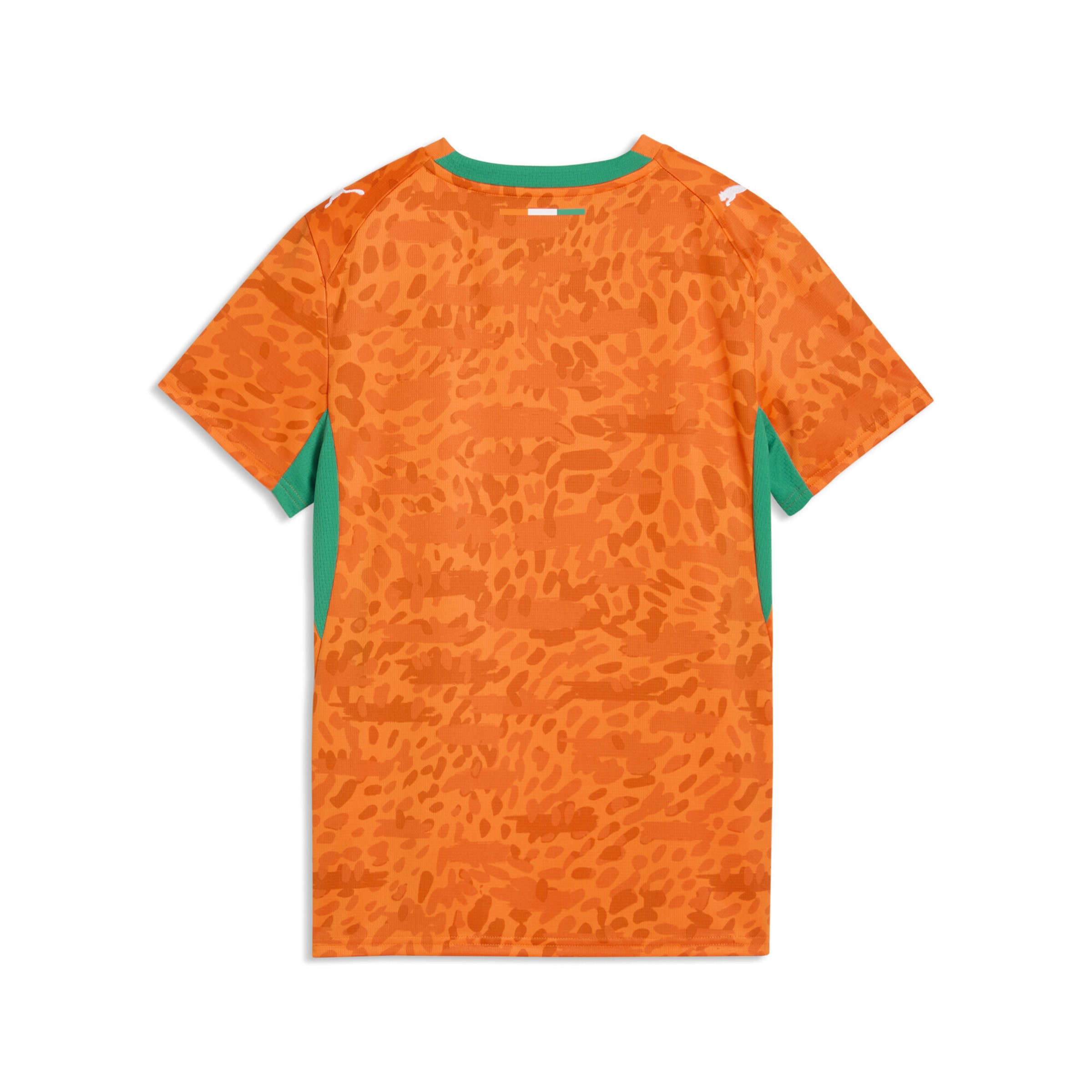 PUMA Tricot 'Elfenbeinküste 2026' in Oranje