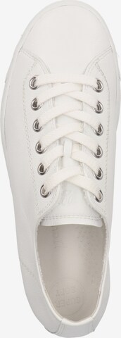 Paul Green Sneakers in White