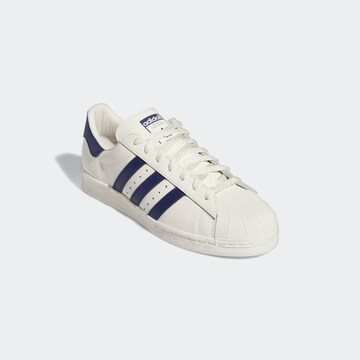 Baskets basses 'Superstar' ADIDAS ORIGINALS en blanc