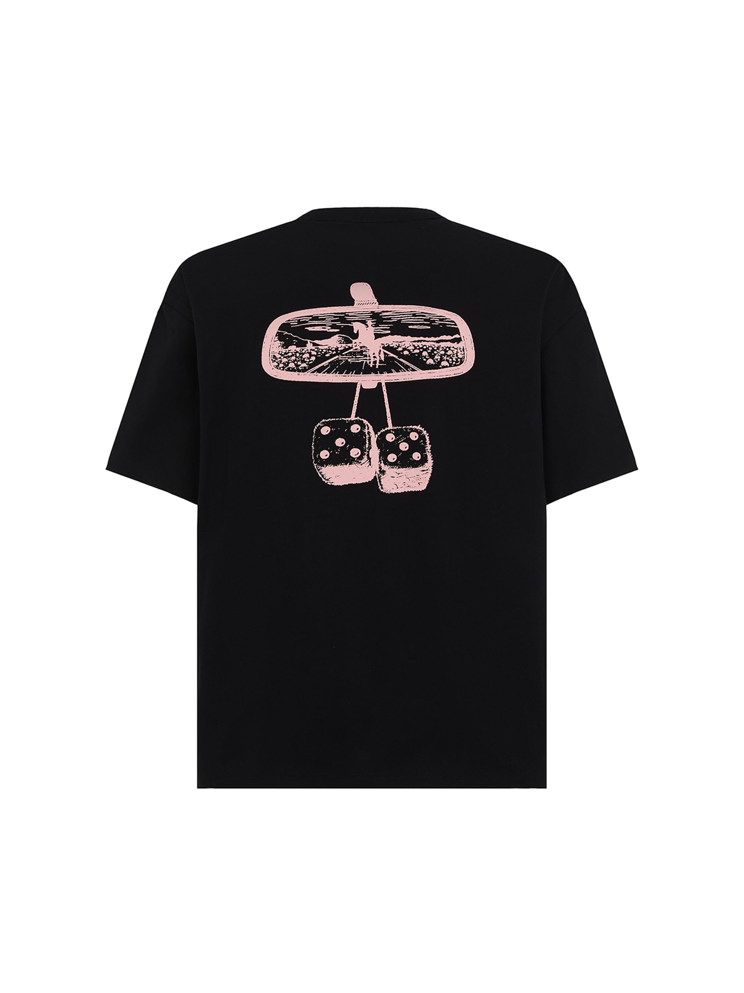 DICKIES Bluser & t-shirts 'Polk' i sort