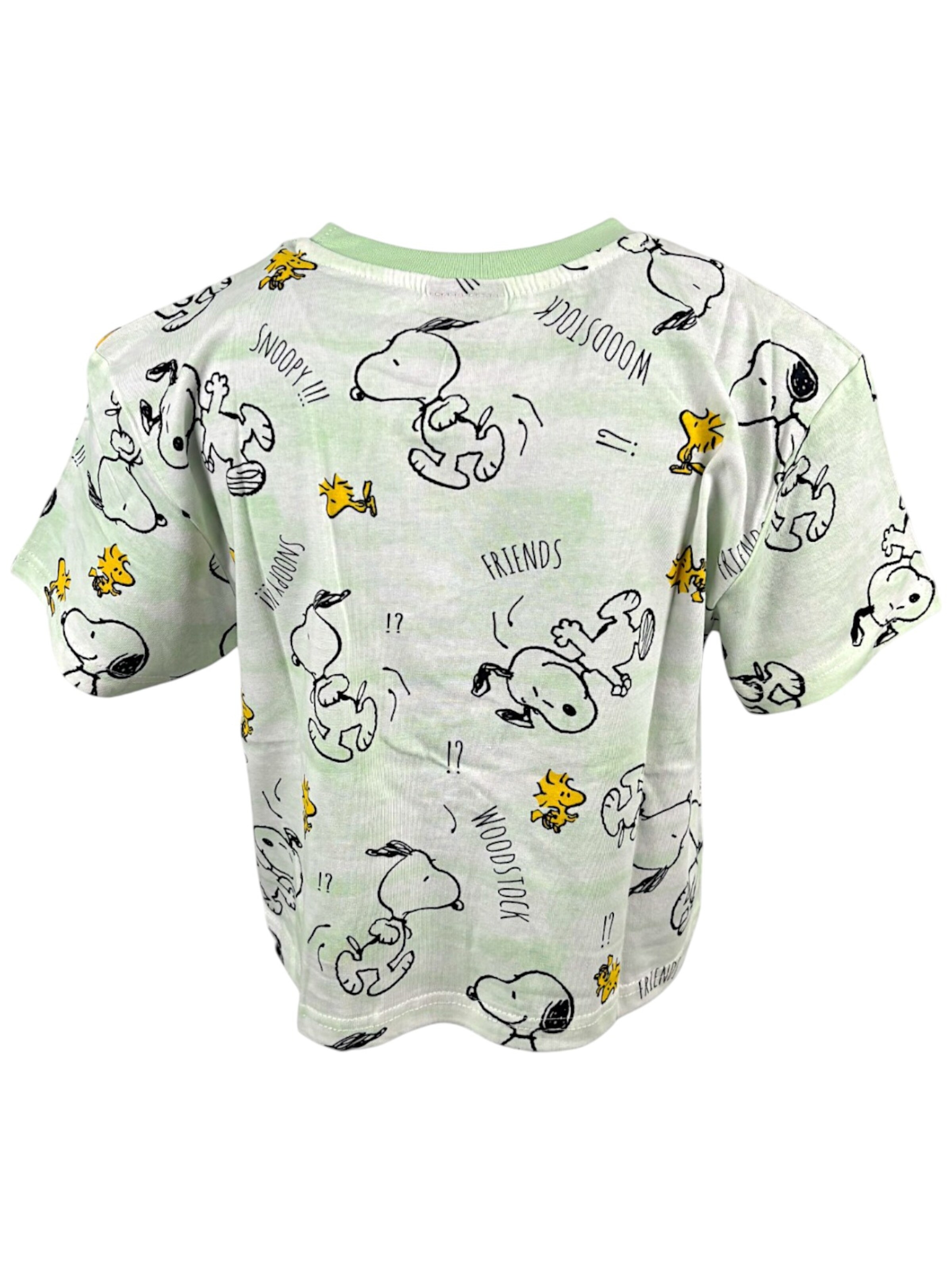 Snoopy & Die Peanuts Shirt 'Peanuts Snoopy Crop' in Green