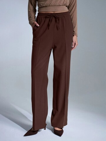 Dilvin Pants in Brown: front