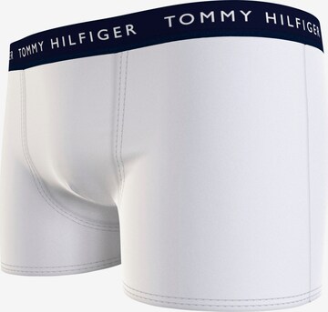 mišri Tommy Hilfiger Underwear Apatinės kelnaitės