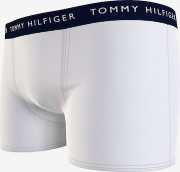 Tommy Hilfiger Underwear Aluspüksid, värv segavärvid