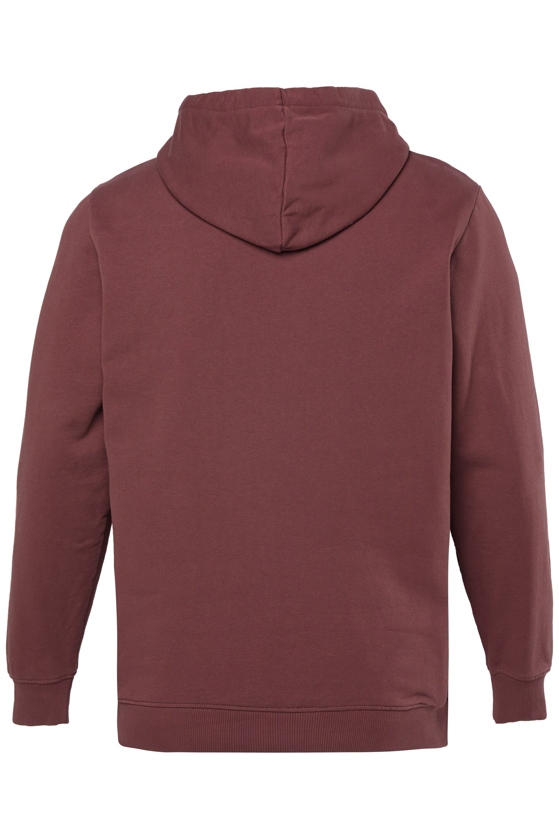 Men Plus Zip-Up Hoodie in Brown
