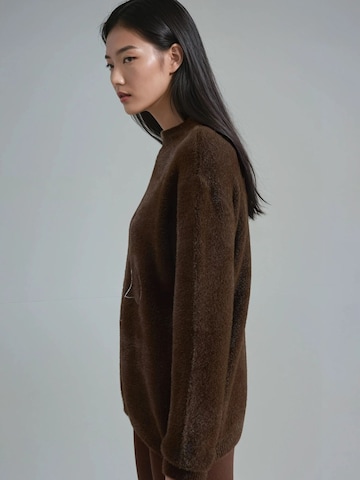 Pullover 'Pullover' di My fashion in marrone