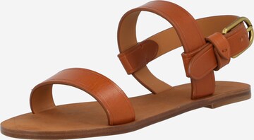 Polo Ralph Lauren Sandalen met riem in Bruin: voorkant