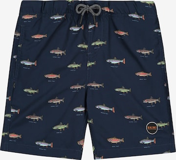 Pantaloncini da bagno 'Go Fish' di Shiwi in blu: frontale