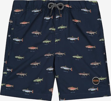 Shiwi Board Shorts 'Go Fish' in Blue: front