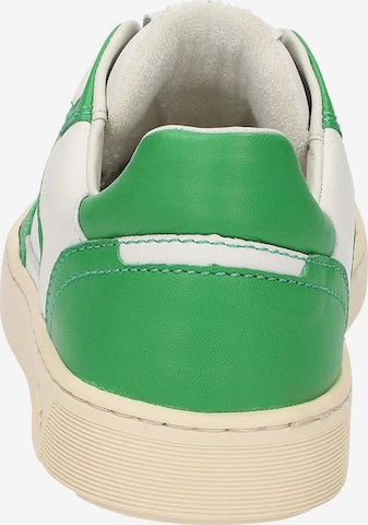 SIOUX Sneakers ' Tedroso-DA-700 ' in Green