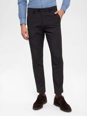 Regular Pantalon Antioch en gris