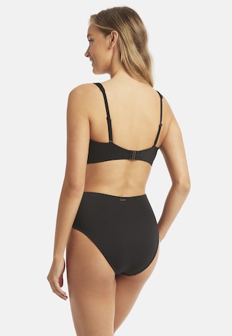 SEA LEVEL Balconette Bikinitop 'Essentials' in Schwarz