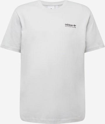 ADIDAS ORIGINALS T-Shirt 'Adventure Mountain Back' in Grau: predná strana