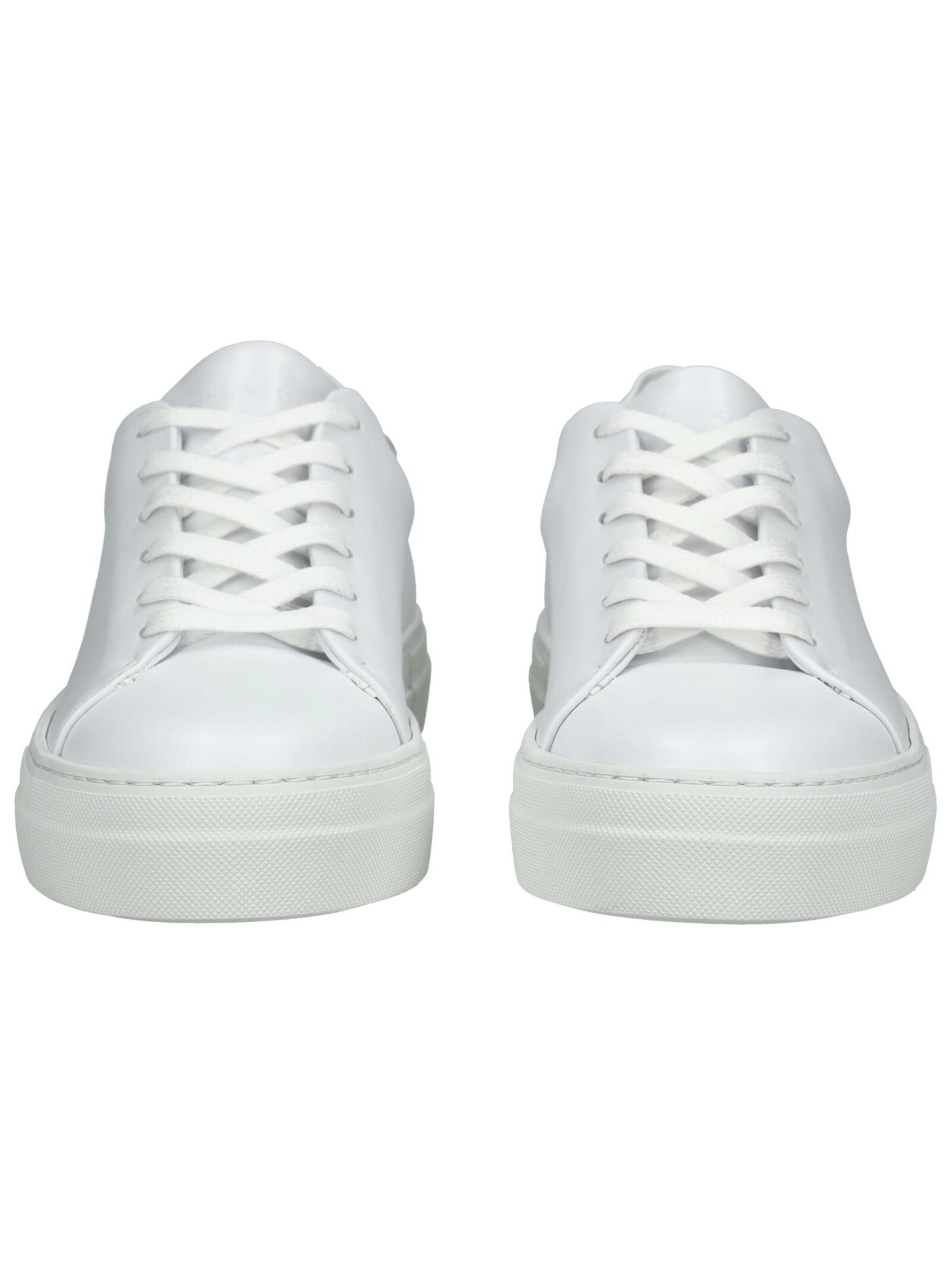 Baskets basses Sneaky Steve en blanc