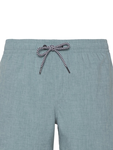 PROTEST Badeshorts 'DAVEY' in Grün