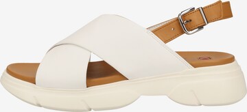Högl Sandalen met riem in Wit