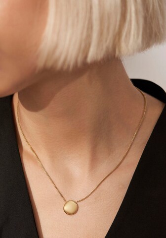 SKAGEN Necklace in Gold: front