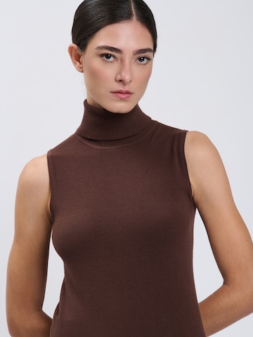 Influencer Sweater in Brown