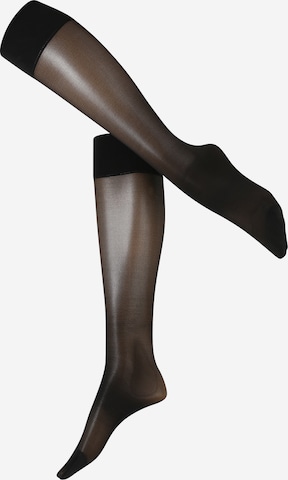 Swedish Stockings Regular Nylonsukka 'Bea' värissä musta: etupuoli