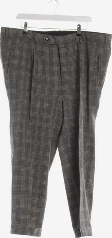 Hiltl Pants in 30 in Grey: front