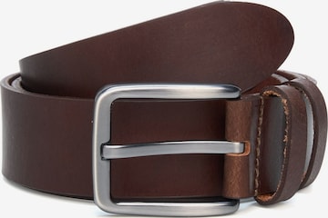 jolar Belt 'CLASSIC' in Brown: front