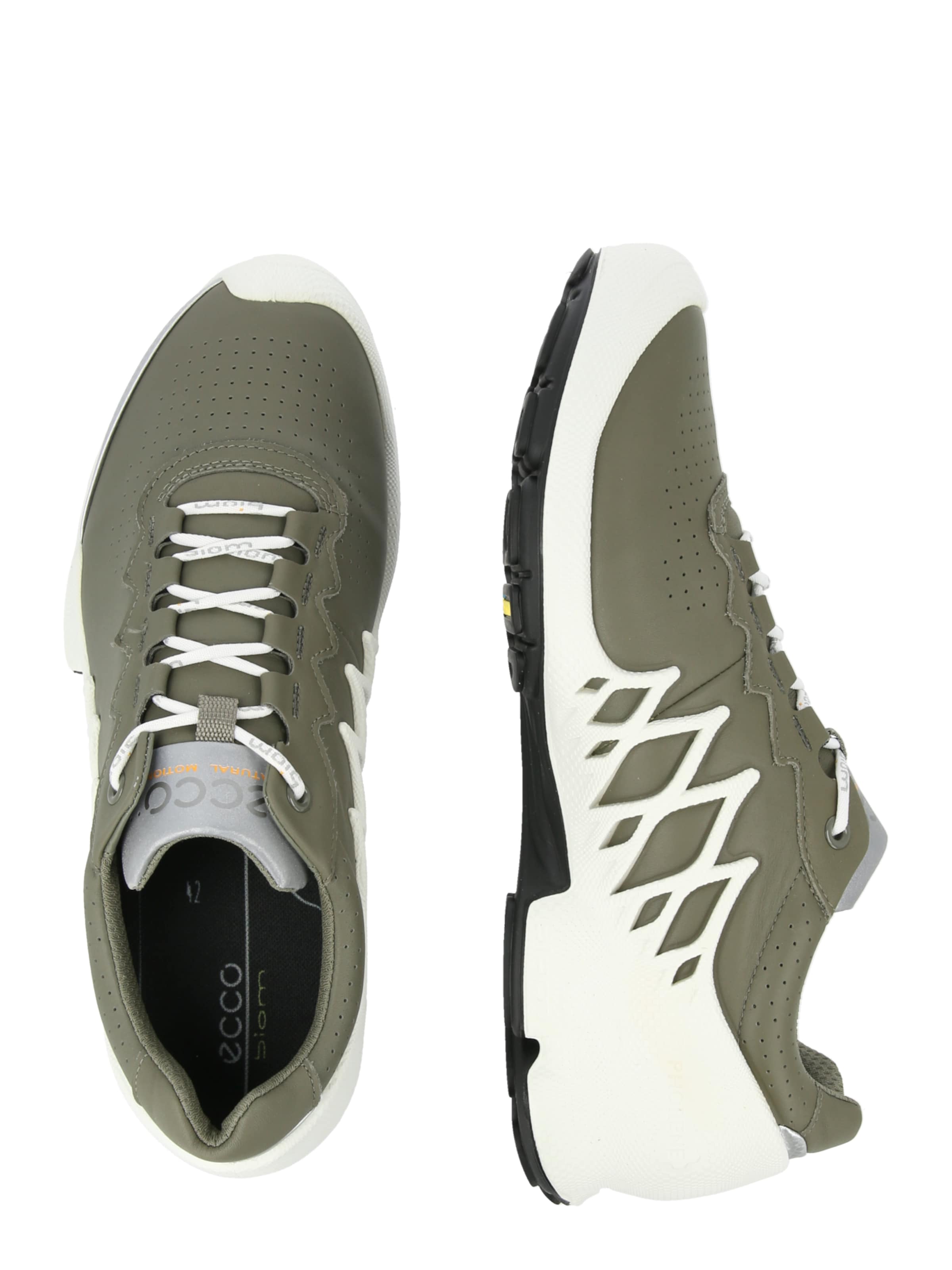 ECCO Sneakers laag 'BIOM AEX' in Groen