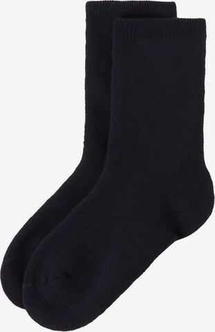 CALZEDONIA Socks in Blue: front