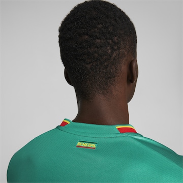PUMA Jersey 'Senegal 22/23 Replik Auswärts' in Green