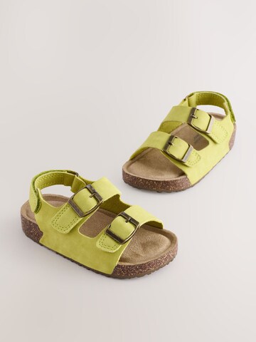 Next Open shoes in Green
