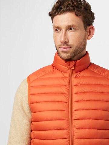 SAVE THE DUCK Vest 'Adam' in Orange