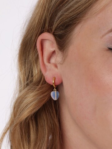 Lucardi Earrings in Gold: front