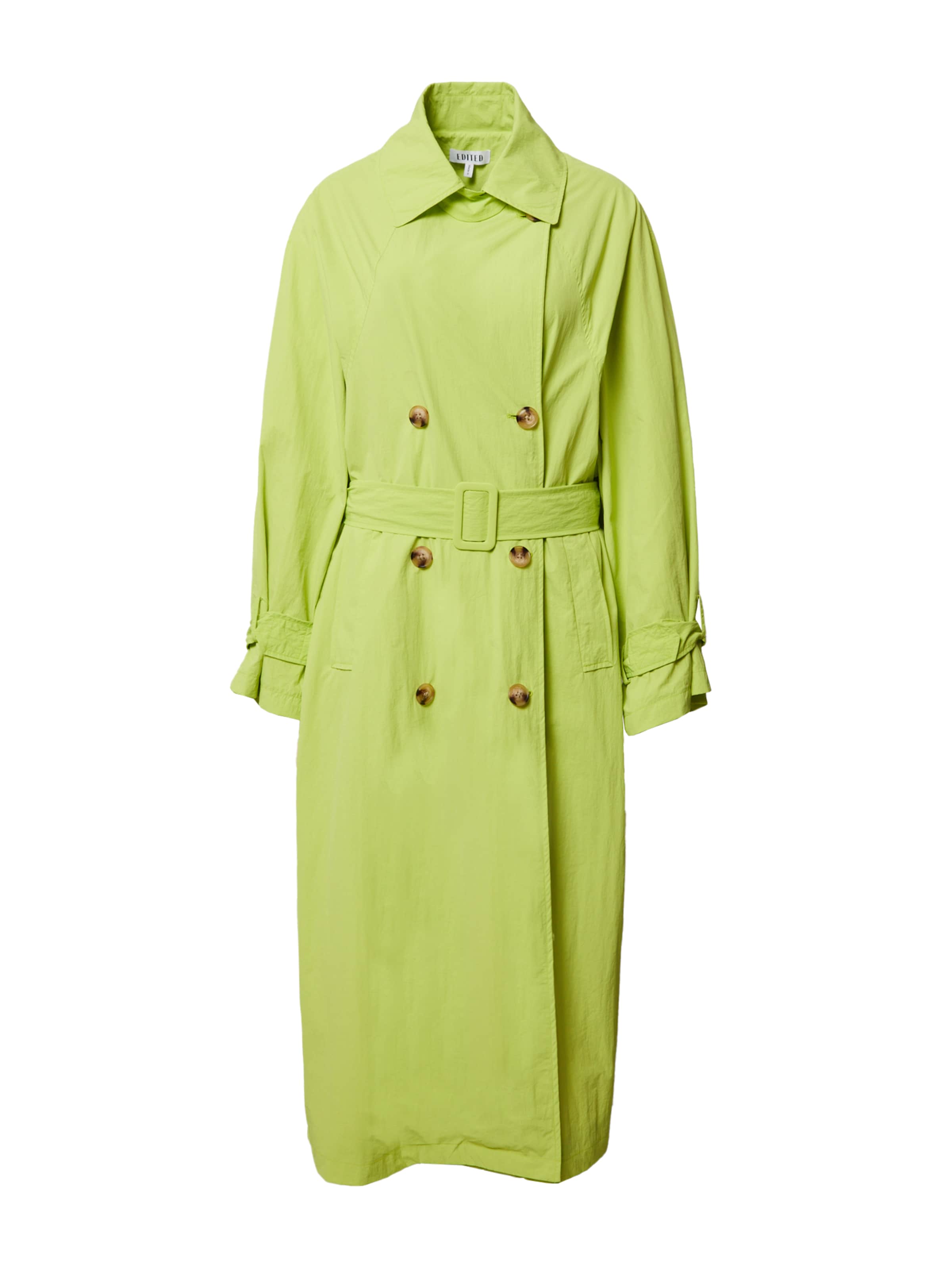 EDITED Between-Seasons Coat 'Neila' in Green: front
