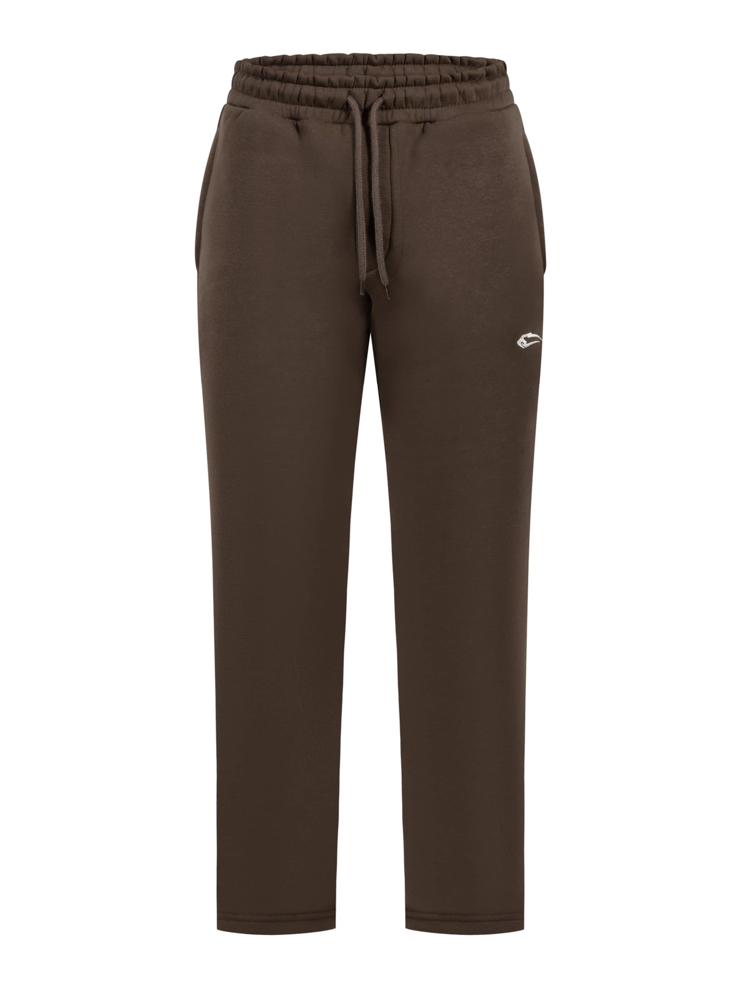 Regular Pantalon Smilodox en marron : devant