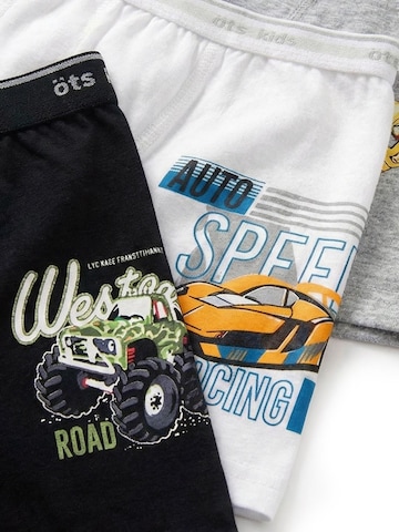 ÖTSGaće 'ÖTS Herren Boxershorts' - miks boja boja