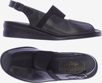 SEMLER Sandals & High-Heeled Sandals in 37,5 in Black: front
