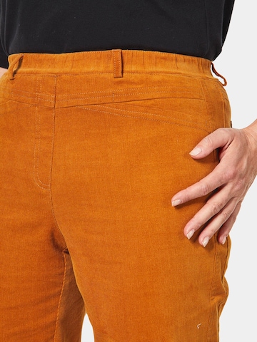 Goldner Regular Pants 'LOUISA ' in Orange