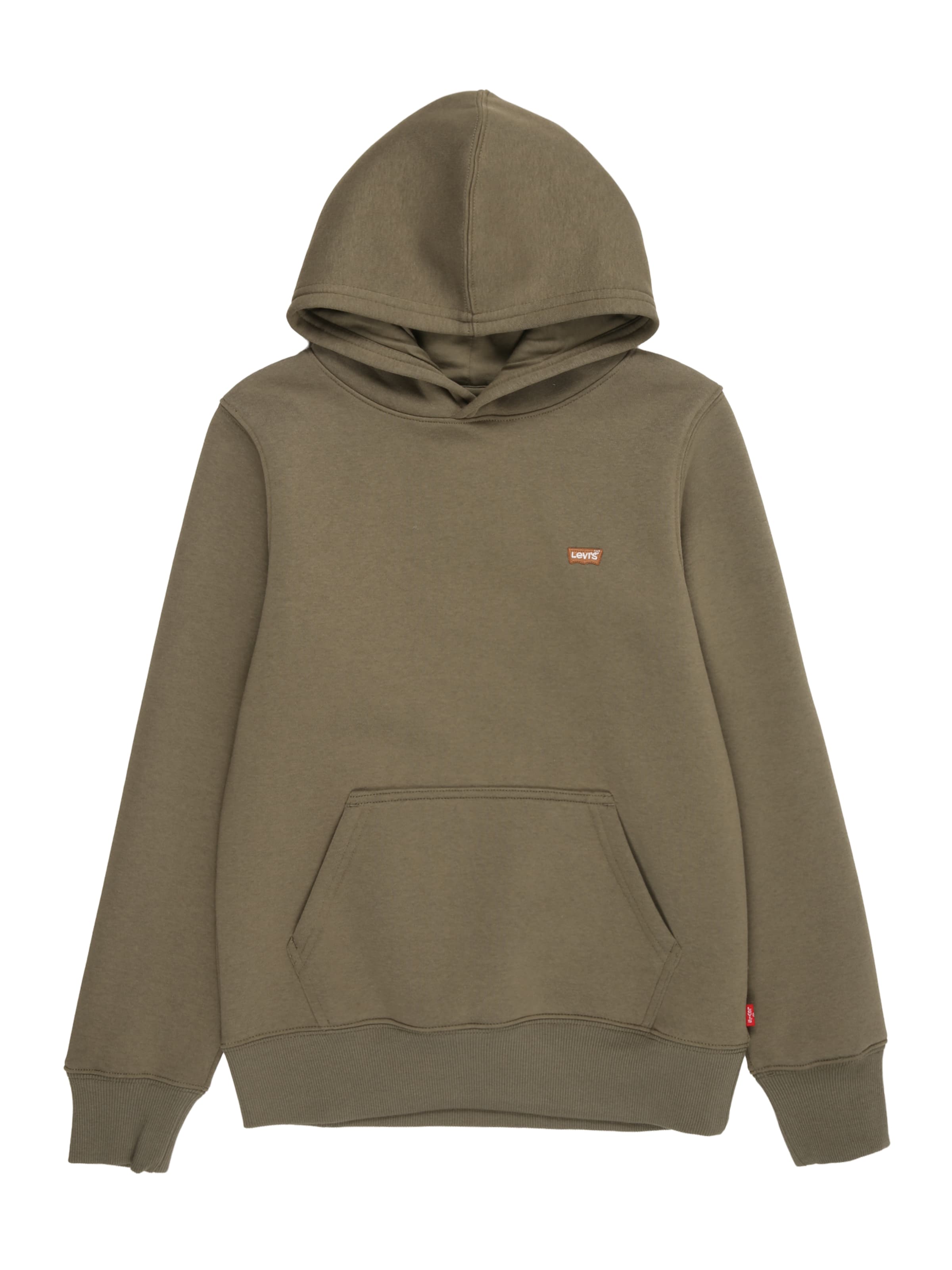 Felpa di Levi's Kids in verde: frontale