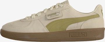 PUMA - Sapatilhas baixas 'Palermo' em bege: frente