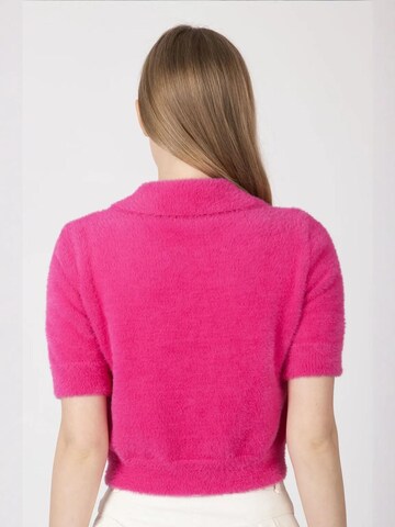 Pullover di Hiccup in rosa