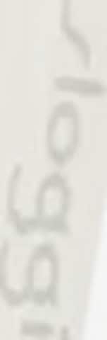 SLOGGI Bustier Melltartó 'ZERO Feel Pure' - fehér: elől