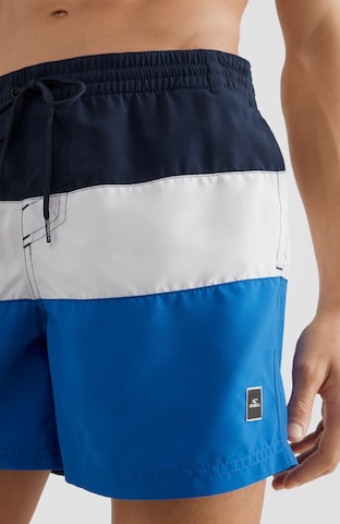 O'NEILL Badeshorts in Blau